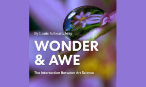 wonder and awe podcast On the New York City Podcast Network