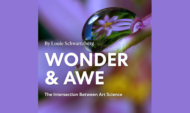 New York City Podcast Network: Wonder & Awe