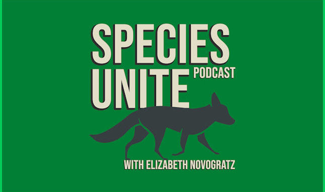 species united with Elizabeth Novogratz on the New York City Podcast Network / World Podcast Network