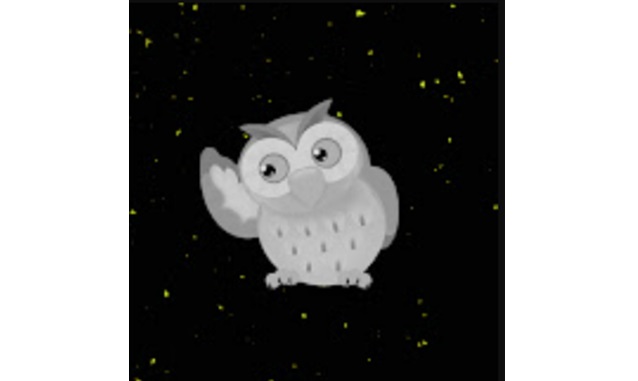 New York City Podcast Network: Wise Owl Talks