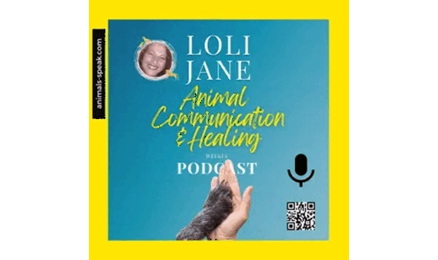 Loli Jane Animal Communication & Healing Podcast Podcast on the World Podcast Network and the NY City Podcast Network